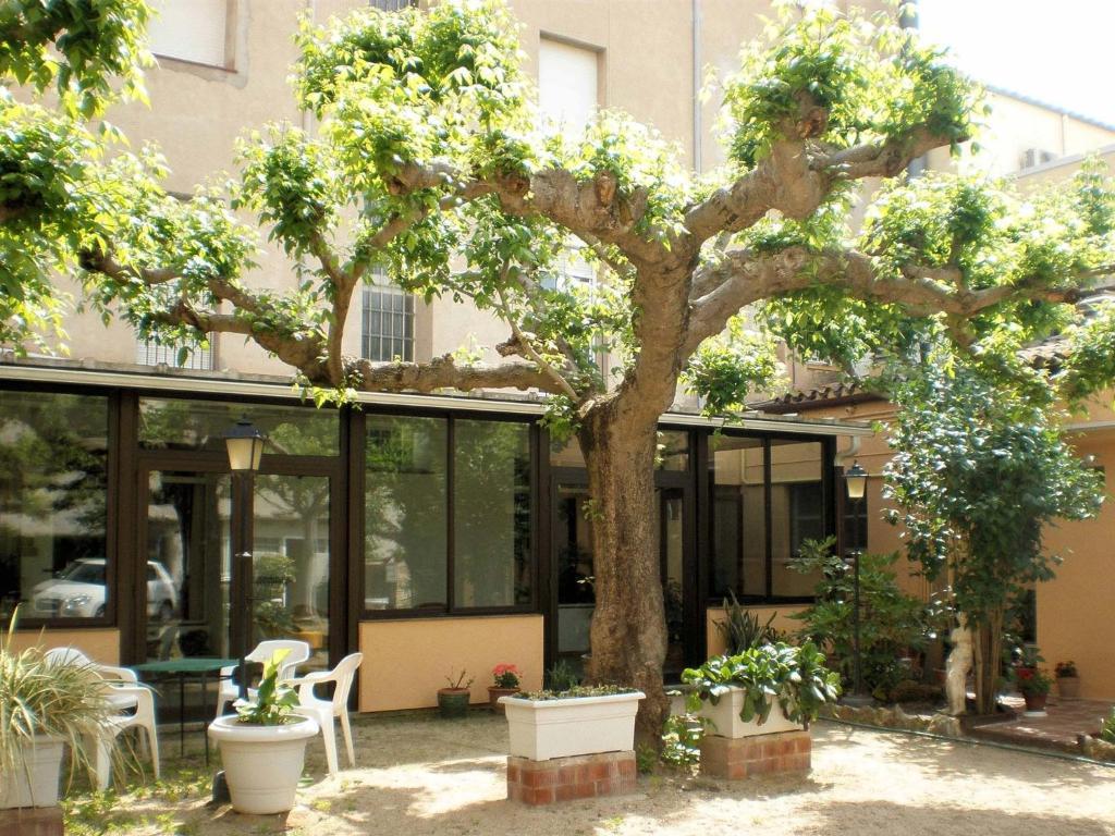 Hostal Fabrellas Caldes de Malavella Exterior foto